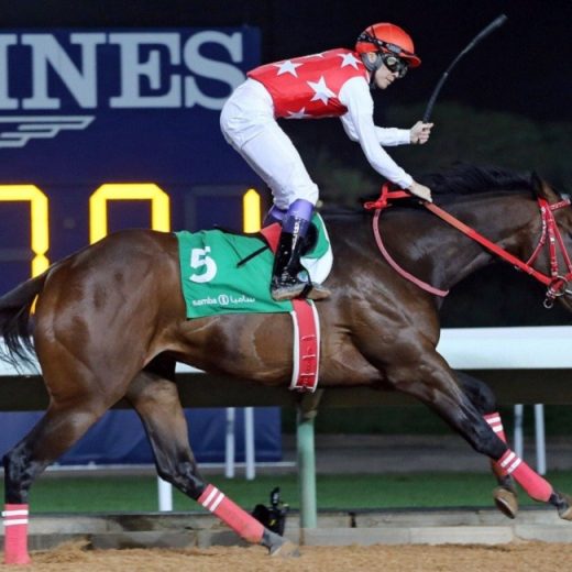 今年2月29日、16ヵ国目の騎乗となったサウジアラビアにて、世界9ヵ国目の勝利をあげた武豊 ©アフロ
