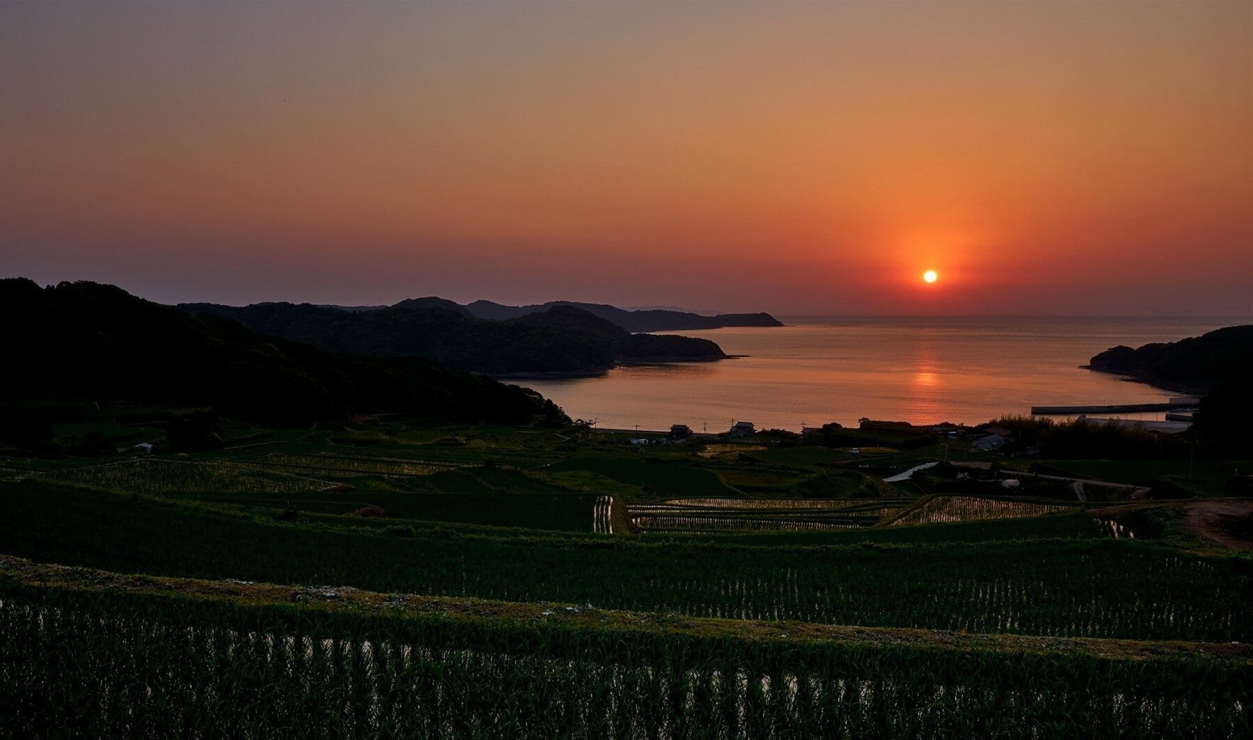 中田英寿／に・ほ・ん・も・の外伝】東シナ海を望む夕景に見惚れる