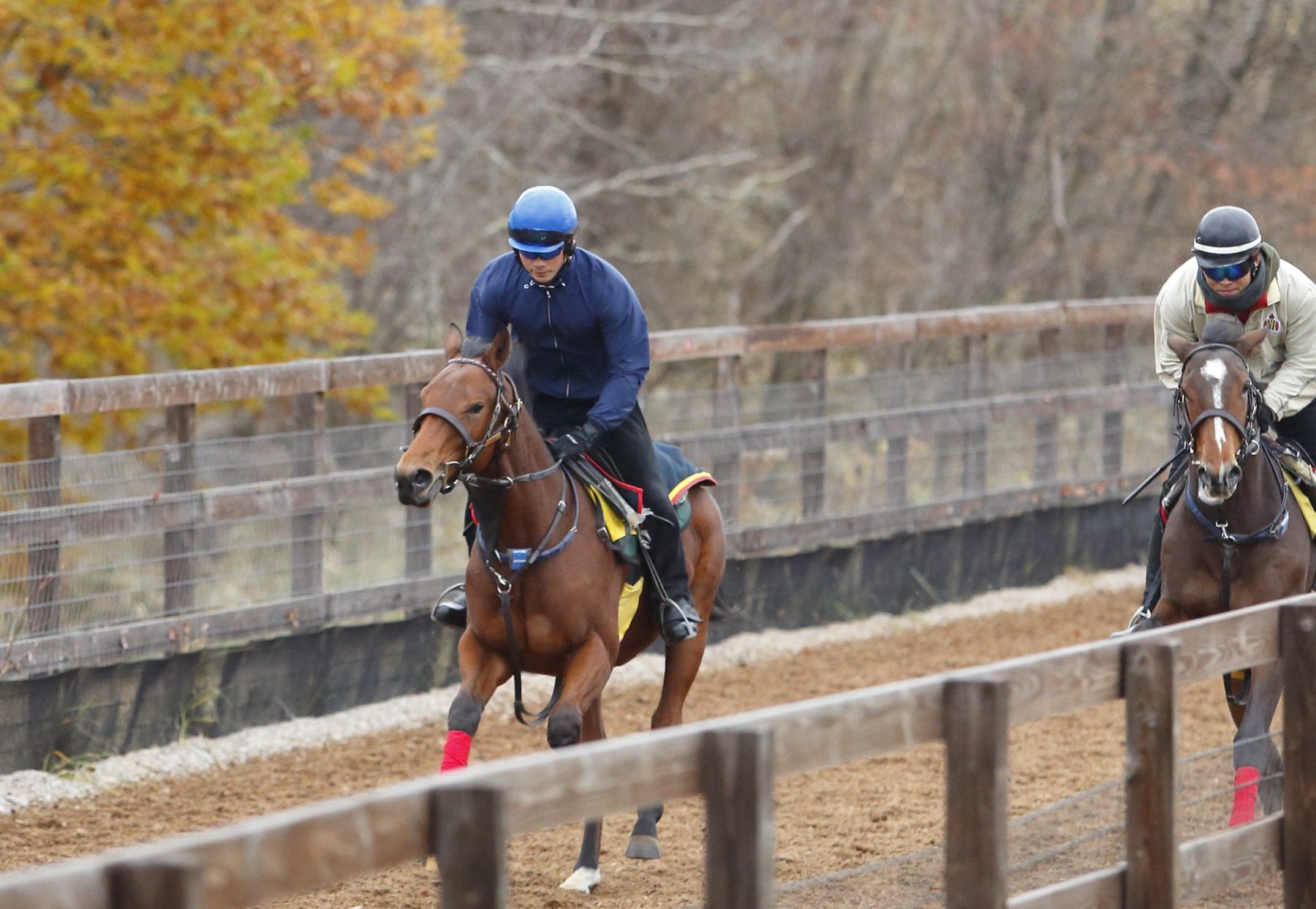 坂路を駆け上がるゲーテ号。それを見つめる日本競馬界の偉人 | GOETHE