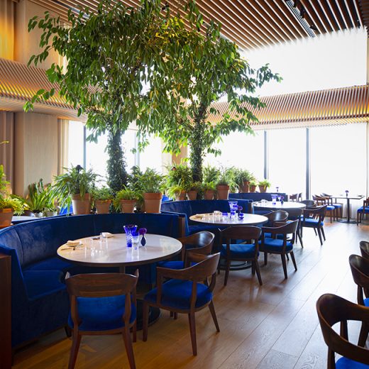 東京タワーや東京湾を見渡せるランドスケープ