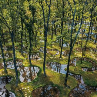 アートビオトープ那須