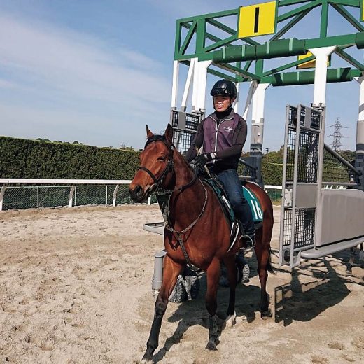 JRA競走馬ゲーテ号が阪神競馬場でついにデビューへ！