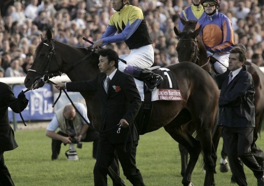 ディープインパクト]2006 凱旋門賞 武豊さん 直筆サイン入り写真