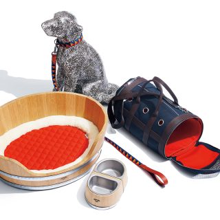 HERMÈS ワンちゃん用グッズ