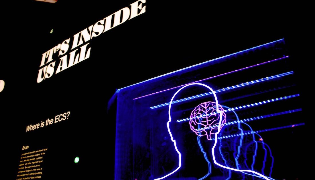 閉塞感のある社会を変える存在──中野信子 連載「Passionable Brain」