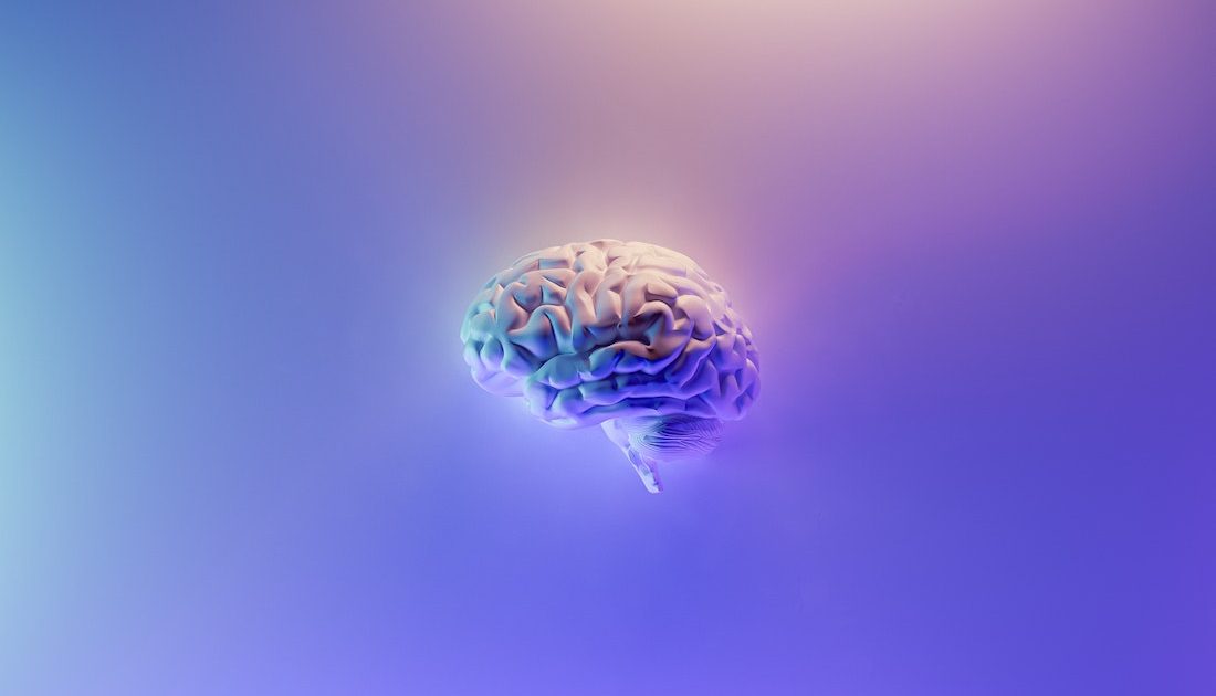 偉人たちの自己プロデュース力──中野信子 連載「Passionable Brain」