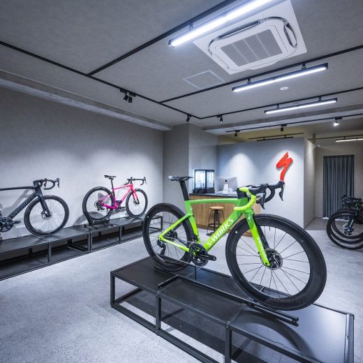 スペシャライズド