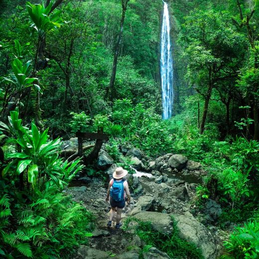 hawaii nature