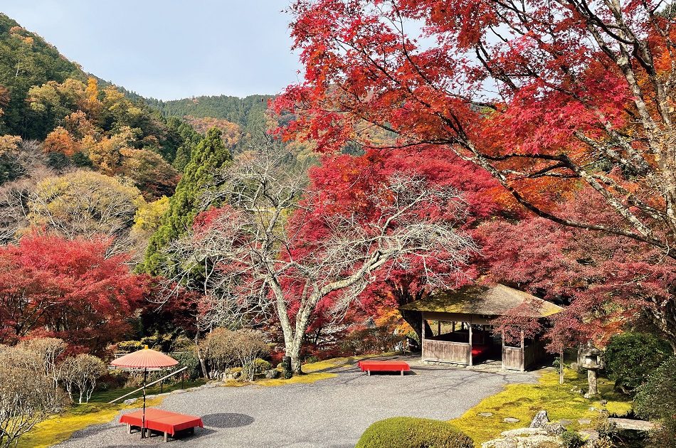 神宿る二ノ瀬の地に広がる､絶景の紅葉庭園「白龍園」 | GOETHE