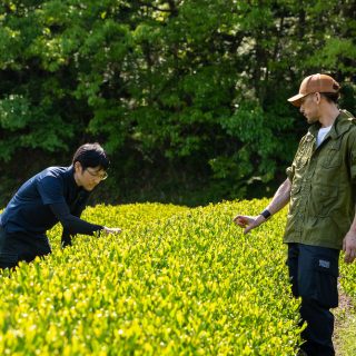 星野製茶園