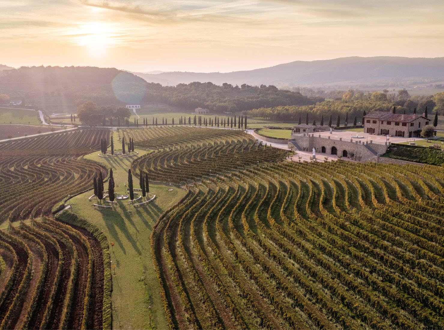 ブルネロクチネリ　スワロフスキー ハーフパンツ ブルネロクチネリスワロフスキー ハーフパンツ
