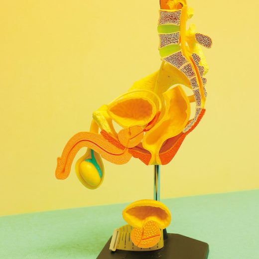 メンテック 男性不妊