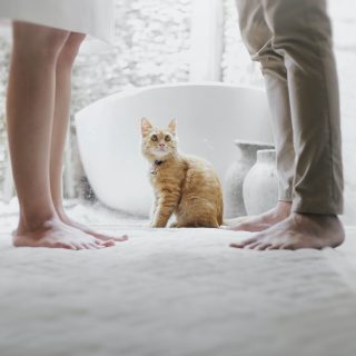 残酷すぎる人間法則 ９割まちがえる「対人関係のウソ」を科学する