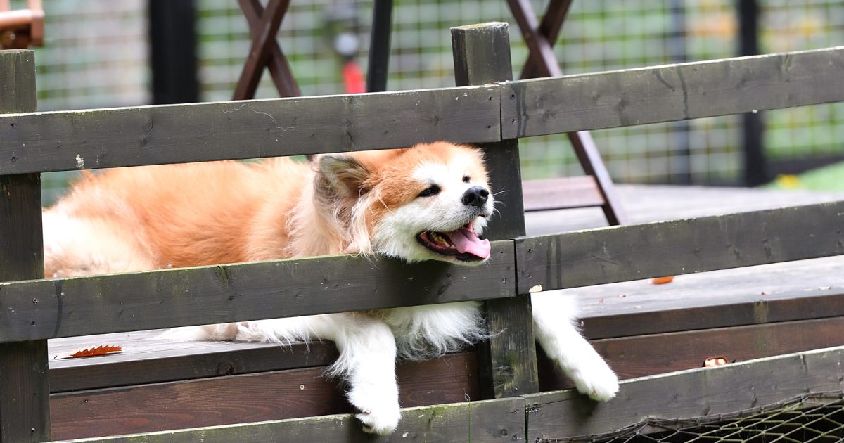 【大型配送SALE】鈴井貴之さん掲載4ページ #7987 takayuki-suzui-7-1200x630.jpg