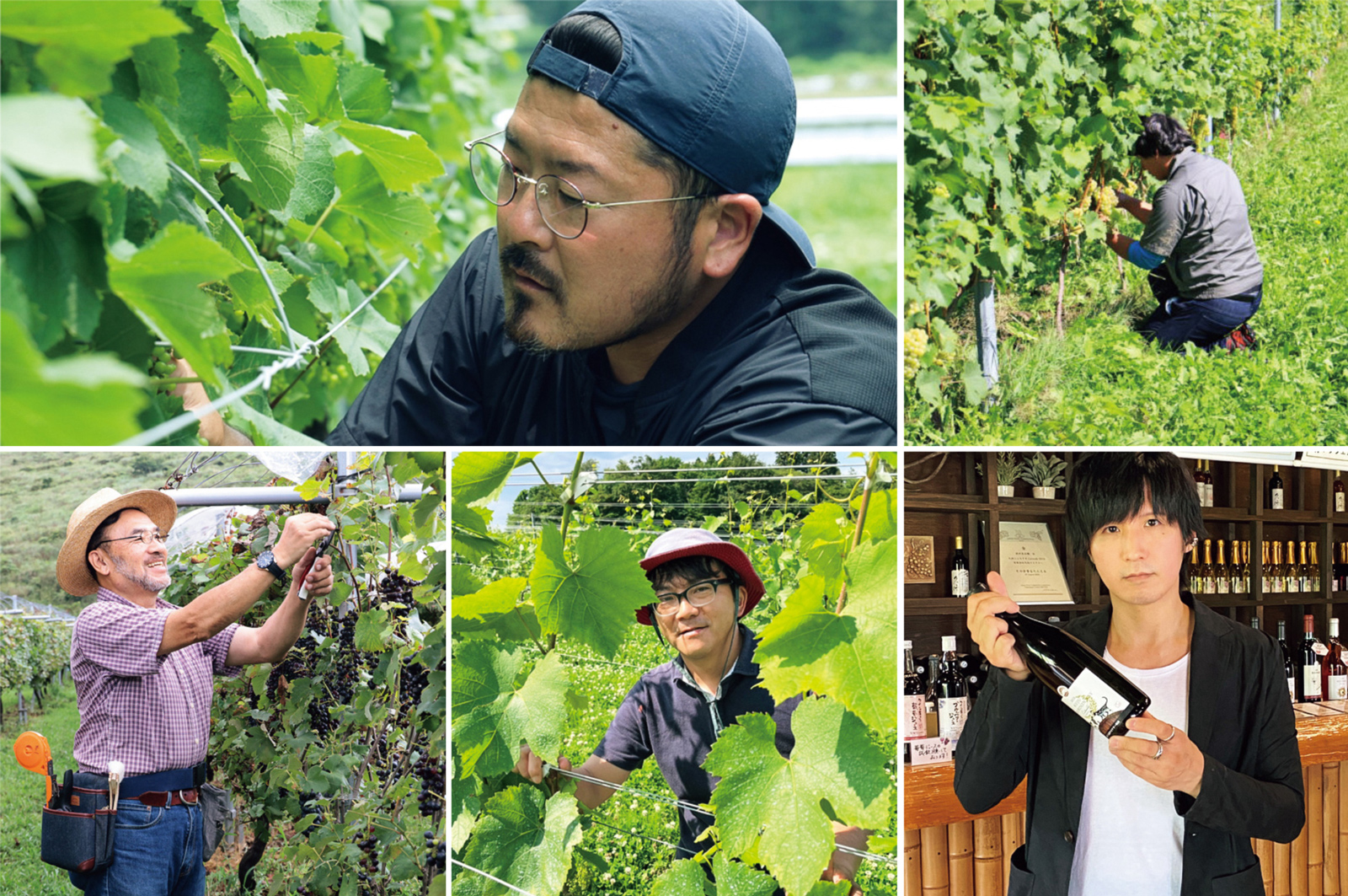 名ソムリエが太鼓判！ いま、日本ワイン界注目の造り手5名とは | GOETHE
