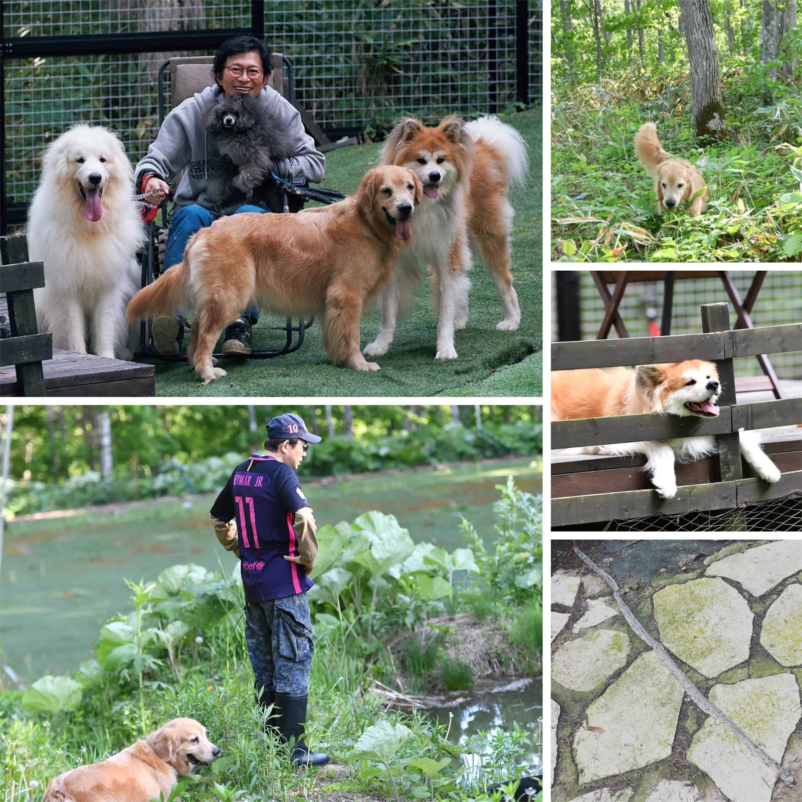 水曜どうでしょう』鈴井貴之が森暮らしで見つけた幸せとは【まとめ
