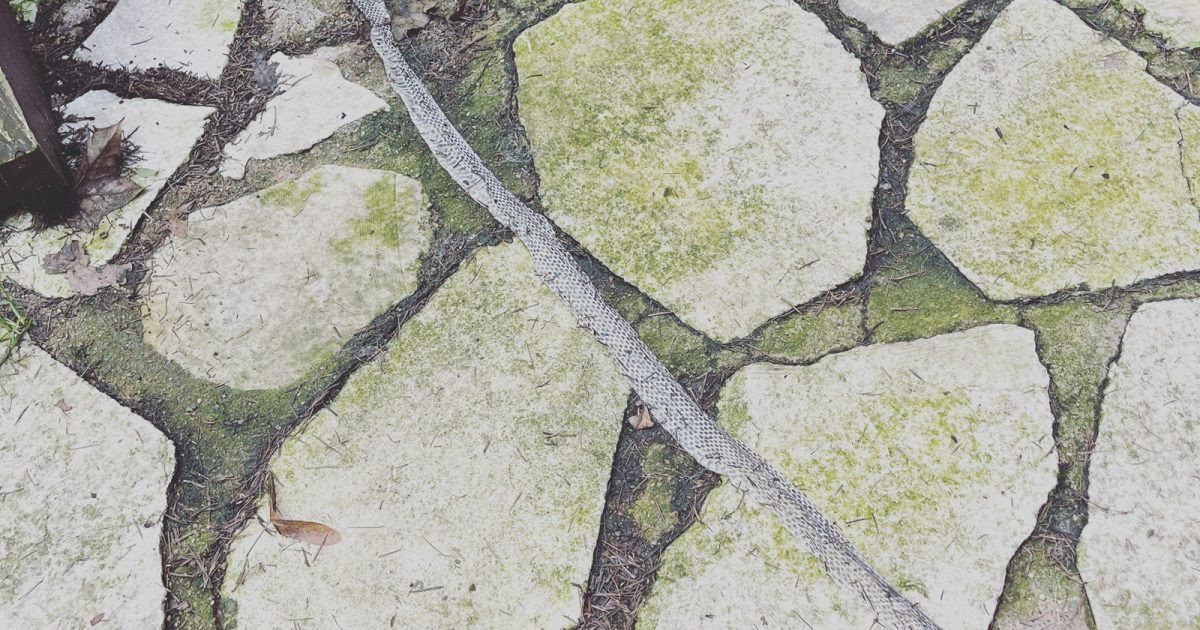 【大型配送SALE】鈴井貴之さん掲載4ページ #7987 sorachidebyu-768x1023.jpg