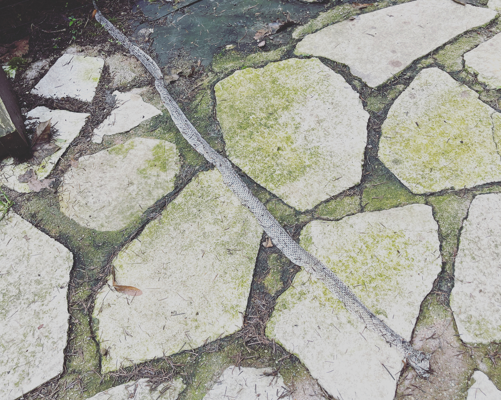 水曜どうでしょう』鈴井貴之が“天敵”から学んだこととは？ | GOETHE