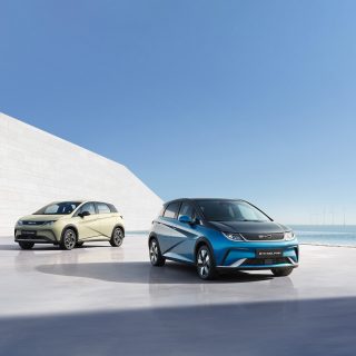 BYDドルフィン