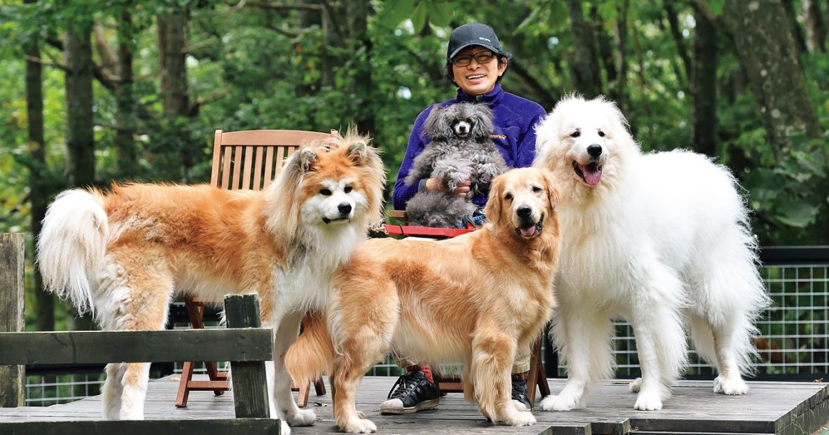 水曜どうでしょう』鈴井貴之の、大人にこそ響く「人生やりなおし」物語