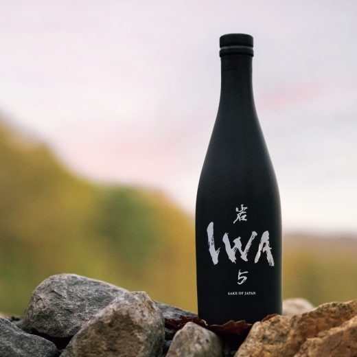 IWA 5 アッサンブラージュ4