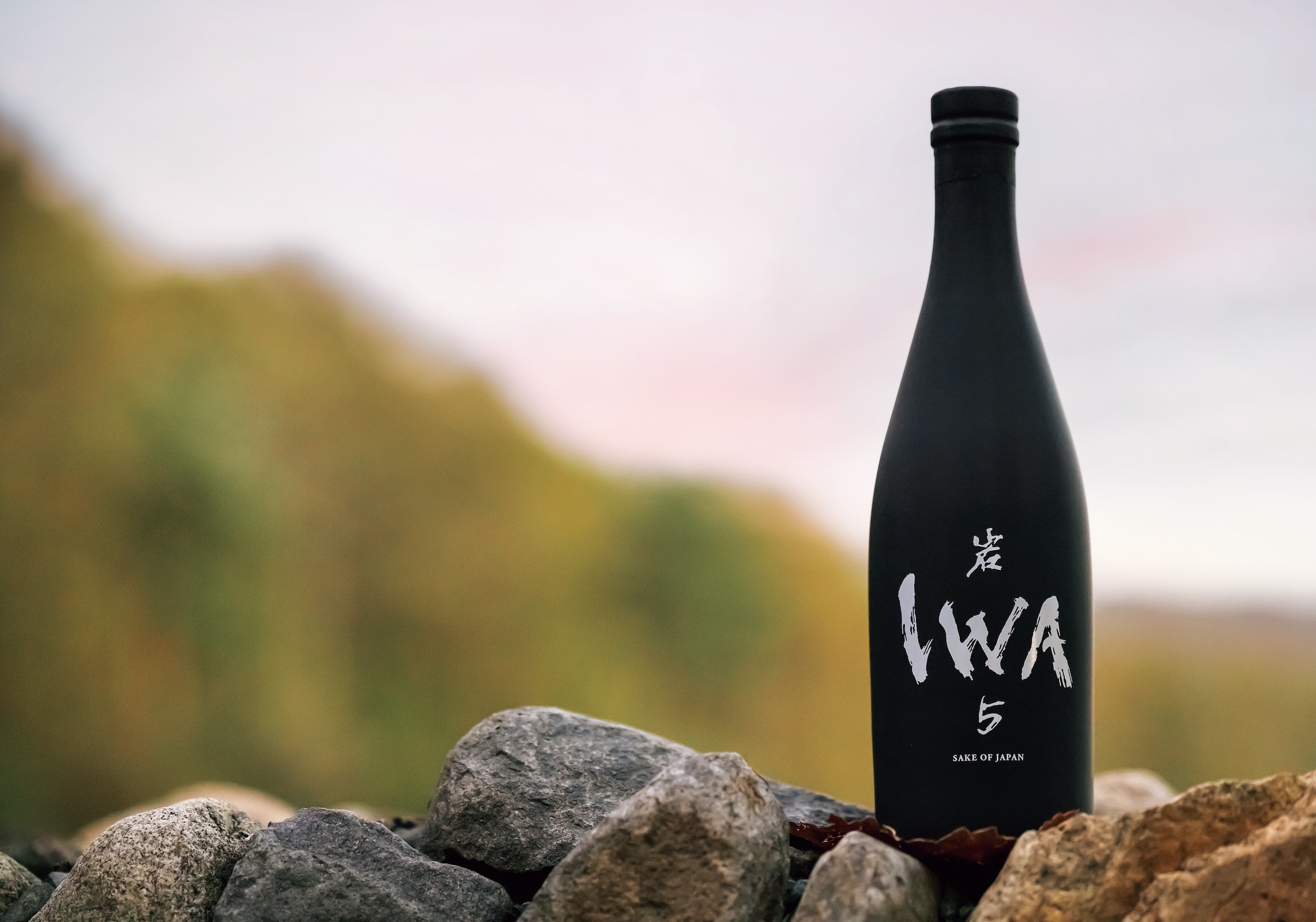 貴重・未開封】IWA 岩 日本酒（四合瓶）-