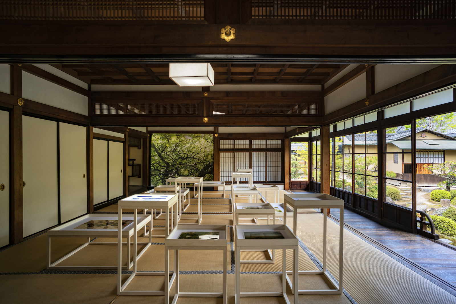 気鋭の写真家が世界最古のシャンパーニュメゾンで捉えた、自然の危機感