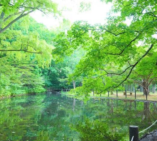 人気昆虫学者、人生初めての新種発見! アリクイエンマムシとの運命の出会い