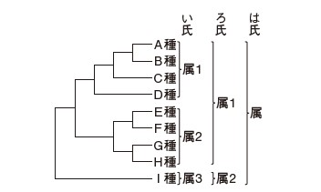 ある分類群の種間系統関係と人による属を分ける感覚の違いの図解。