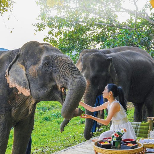 タイの「サプライズ・ダイニング」