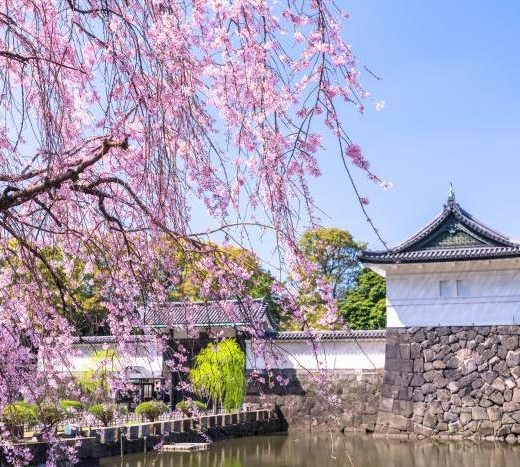 皇居のお濠は「の」の字形。そこに隠された、江戸幕府が約300年続いた理由とは?