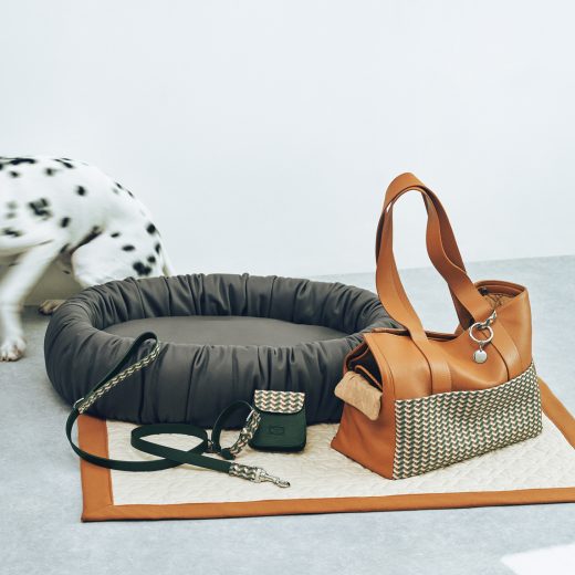 「ポルトローナ・フラウ」のペットコレクション