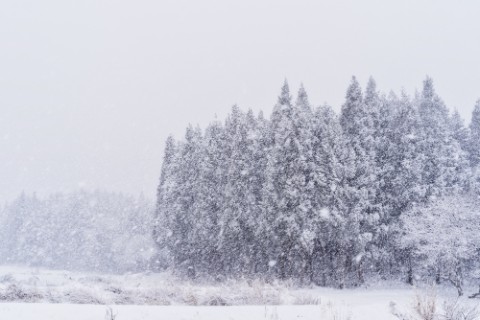 吹雪の山あい