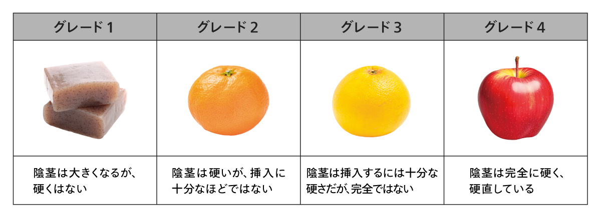 勃起硬度スコア「EHS」