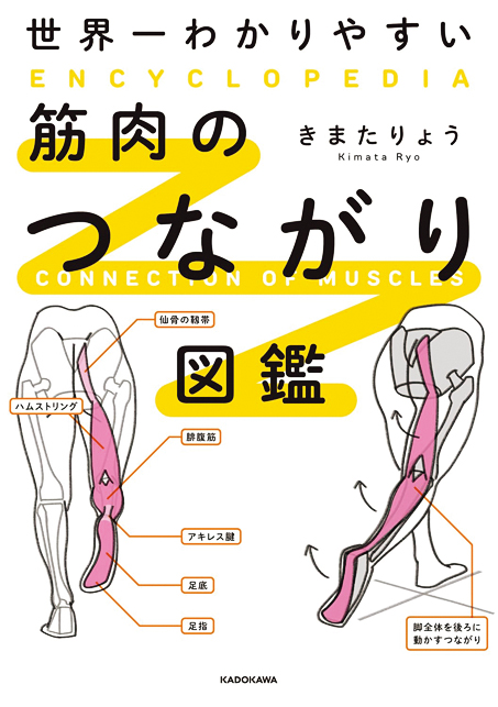 『世界一わかりやすい筋肉のつながり図鑑』