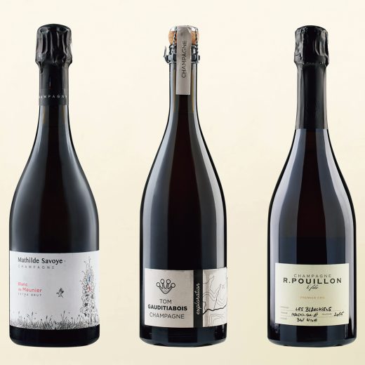 今飲むべきグロワー・シャンパーニュ4選〜マルヌ編〜