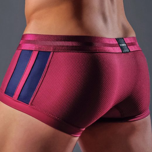 GOETHE×TOOT WINNER BOXER PANTSのボルドー(後ろ)