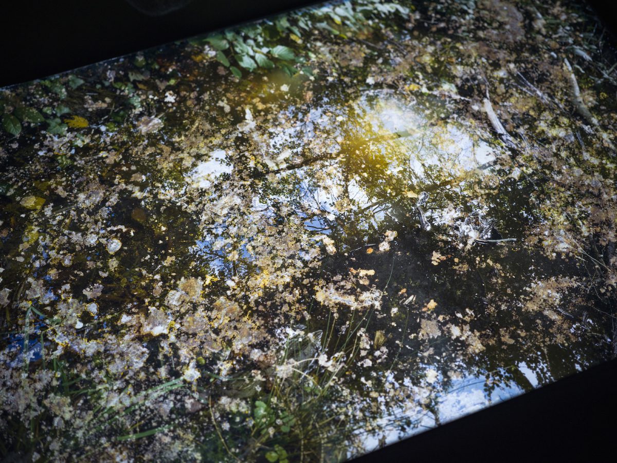 「土を継ぐ—Echoes from the Soil」