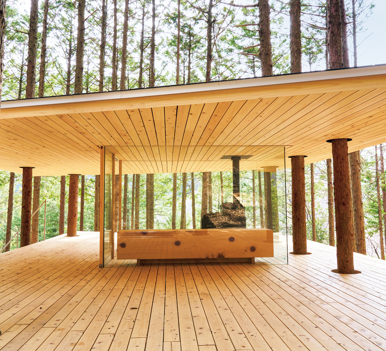 世界初、キャンプ場にツリーハウスサウナが！神奈川相模原「DAICHI