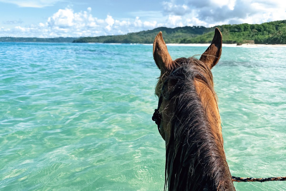 海での乗馬