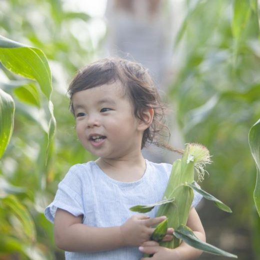 小学校で教えるべきは「株」よりも「蕪」。食事が満足にとれない子どもが7人に1人の時代に、本当に必要なこと