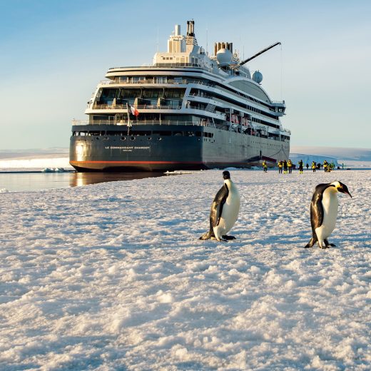 「ル コマンダン シャルコー」とペンギン
