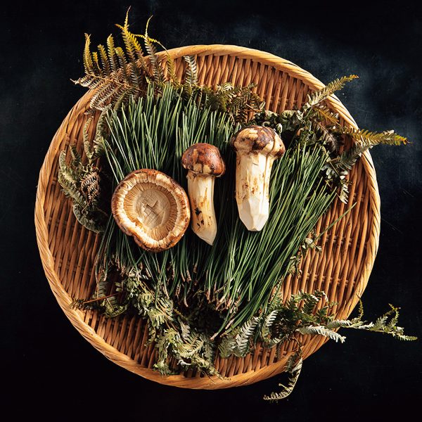 「割烹 樋山」の松茸