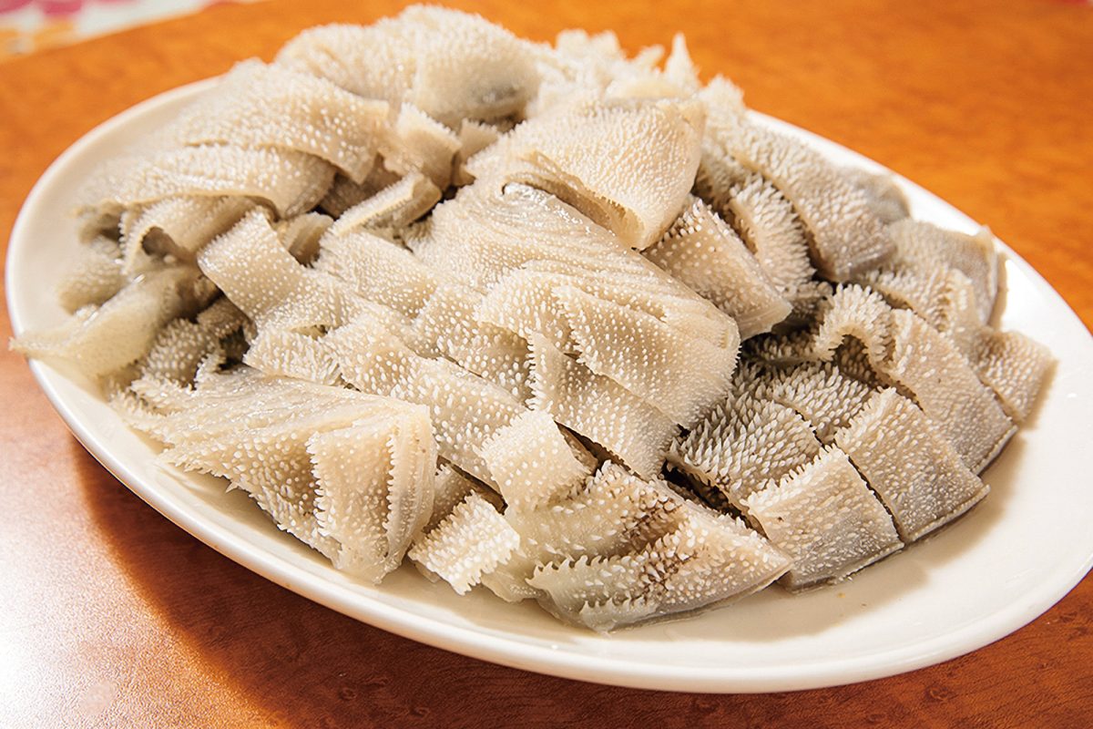 「南粤美食」のセンマイ