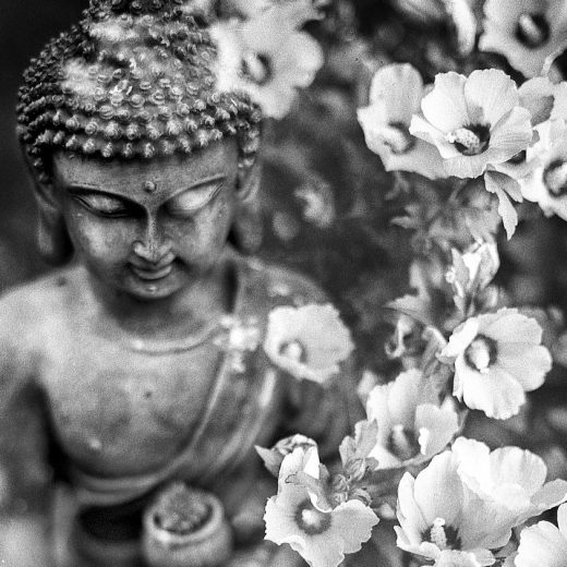 超訳ブッダの言葉