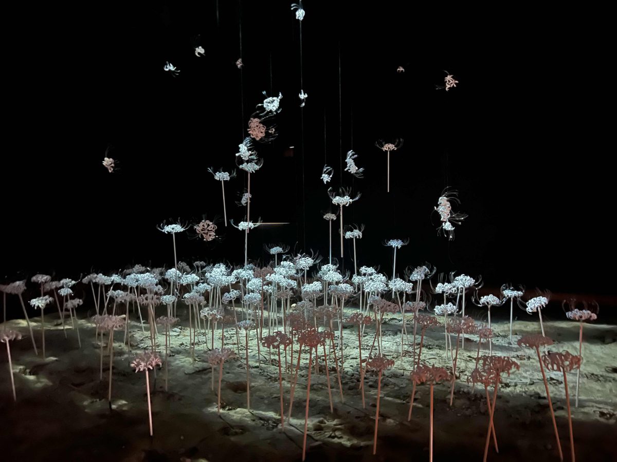 saiho+林イグネル小百合による作品「幻象の庭(2022年)」