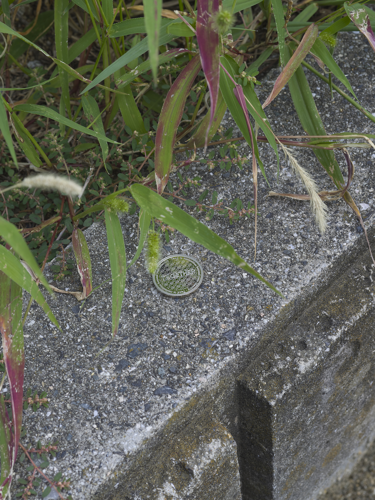 ライアン・ガンダー《The Find(発見)》2023年 Courtesy of the artist
©2025 岡山芸術交流実行委員会撮影:市川靖史
本作はファクトリー・インターナショナルがマンチェスター・インターナショナル・フェスティバルのために制作を委嘱した作品です。