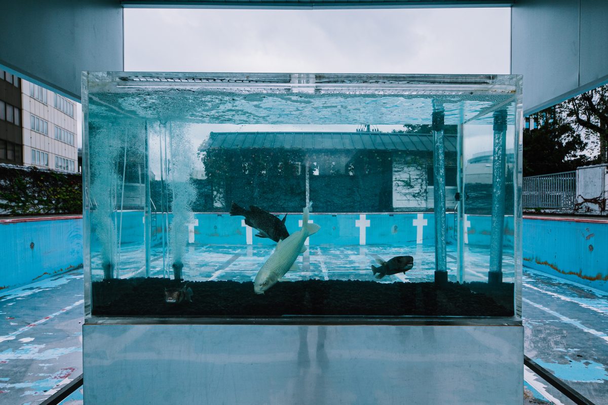 島袋道浩《魔法の水》2025
(クレジット)
©︎ 岡山芸術交流2025