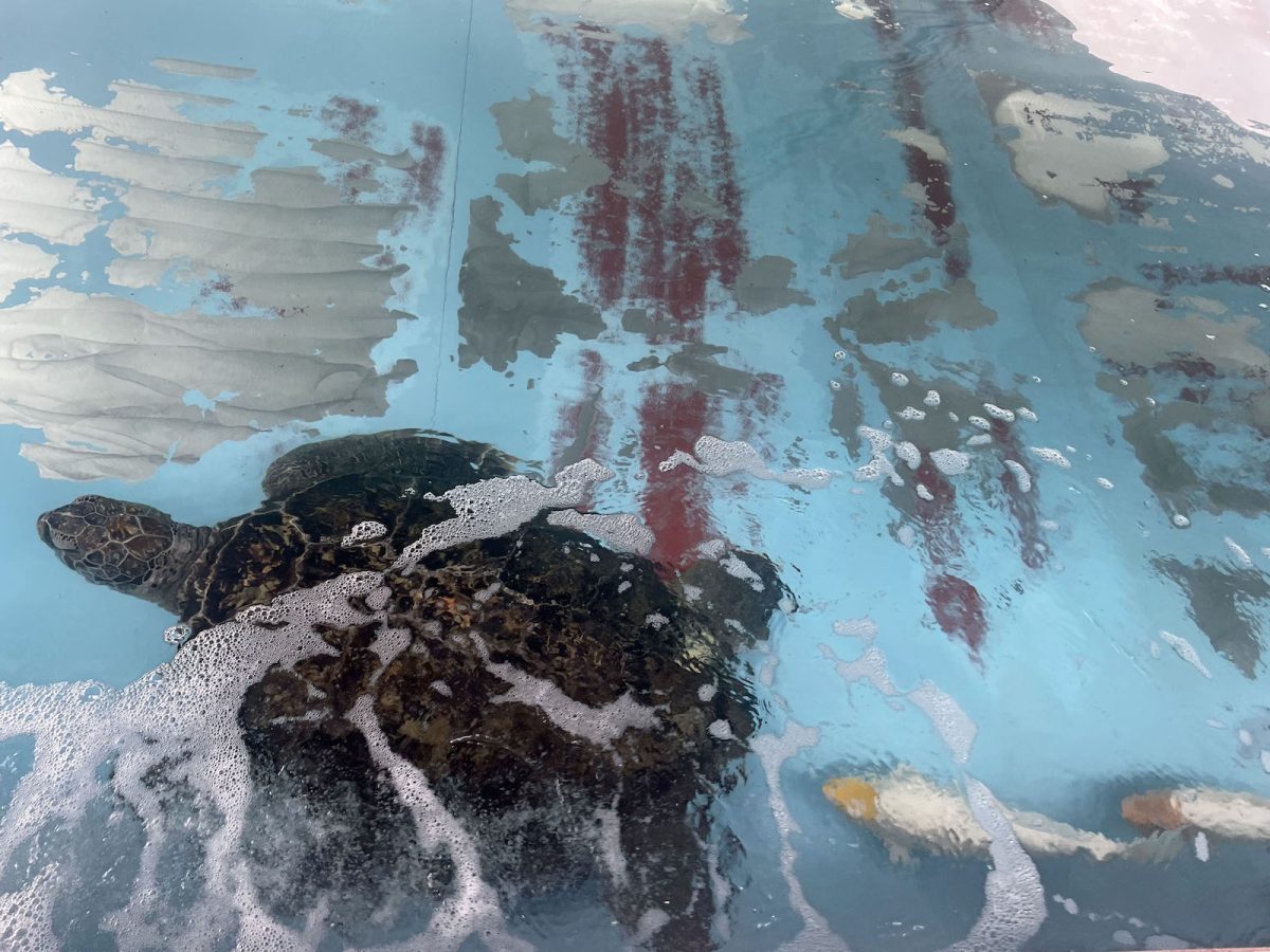 島袋道浩《魔法の水》2025
(クレジット)
Photo/ Yoshio Suzuki ©︎ 岡山芸術交流2025