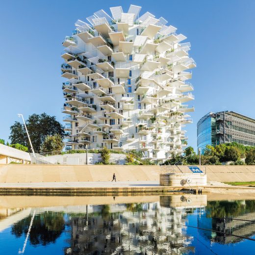 ラルブル・ブラン